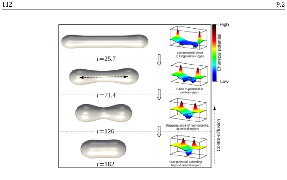 Figure 9.7