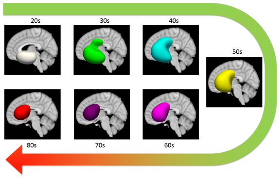 Figure 7