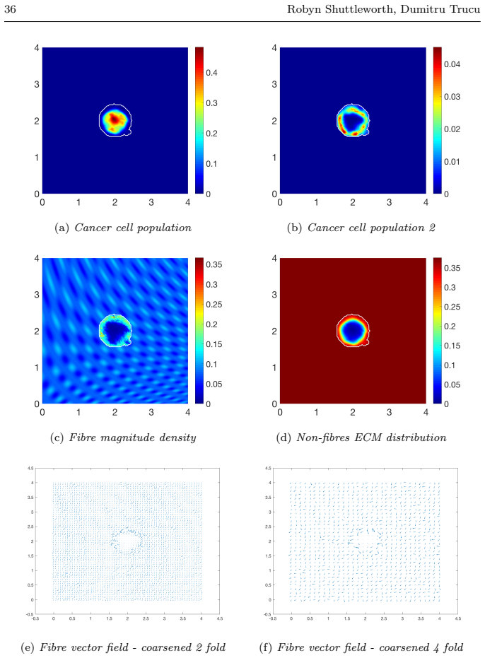 Figure 20