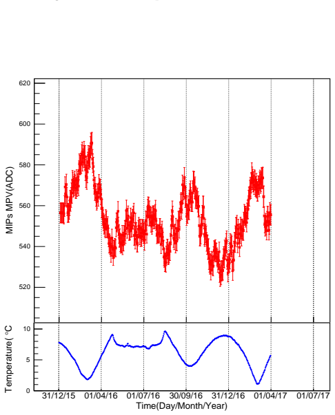 Figure 19