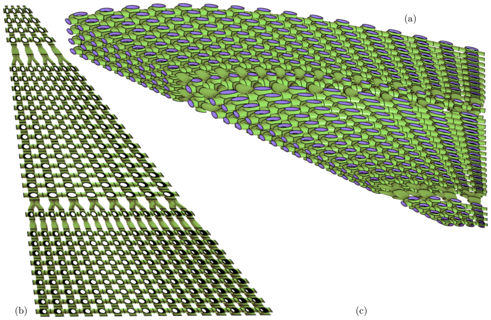 Figure 12
