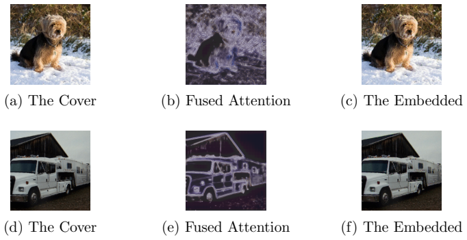 Figure 13