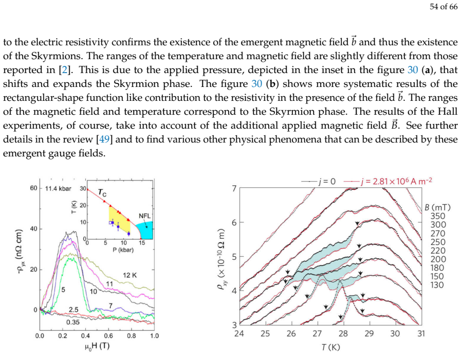 Figure 30