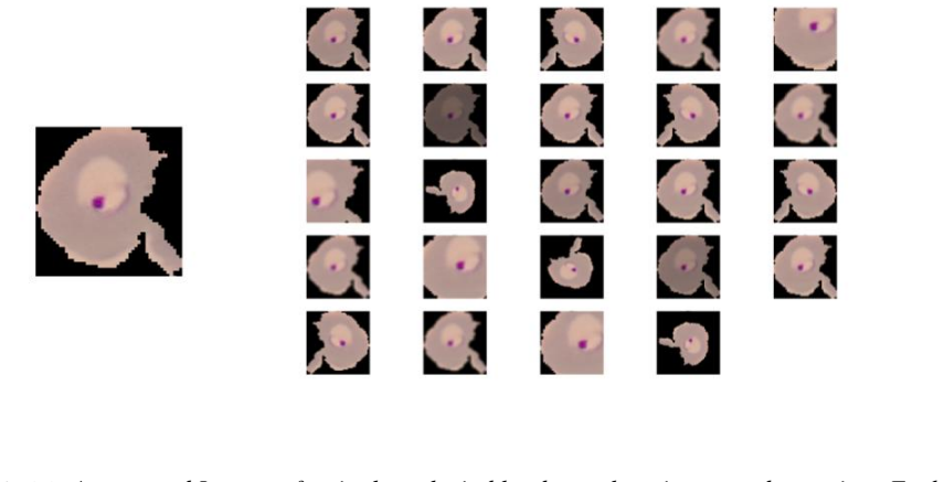 Figure 06