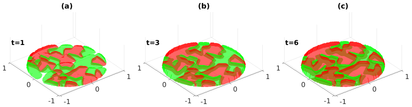 Figure 12