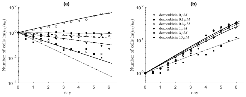 Figure 20
