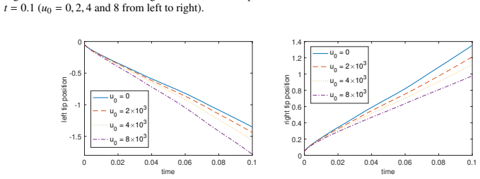 Figure 13