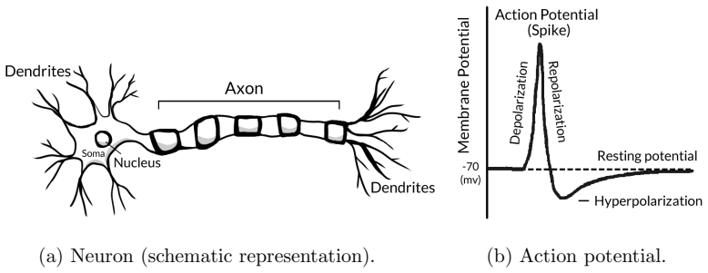Figure 5.1