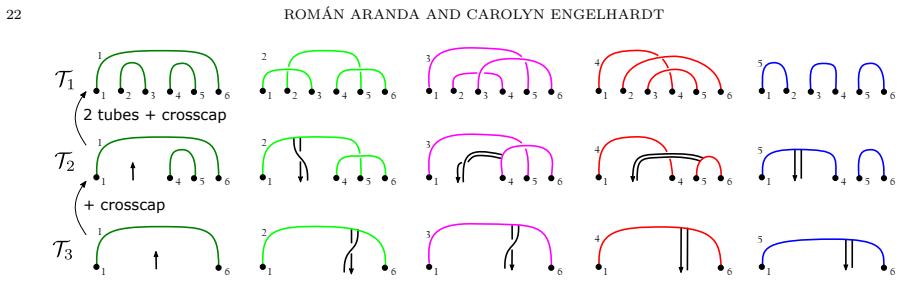 Figure 25