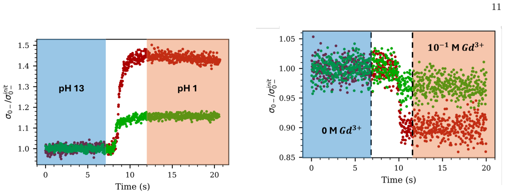 Figure 12