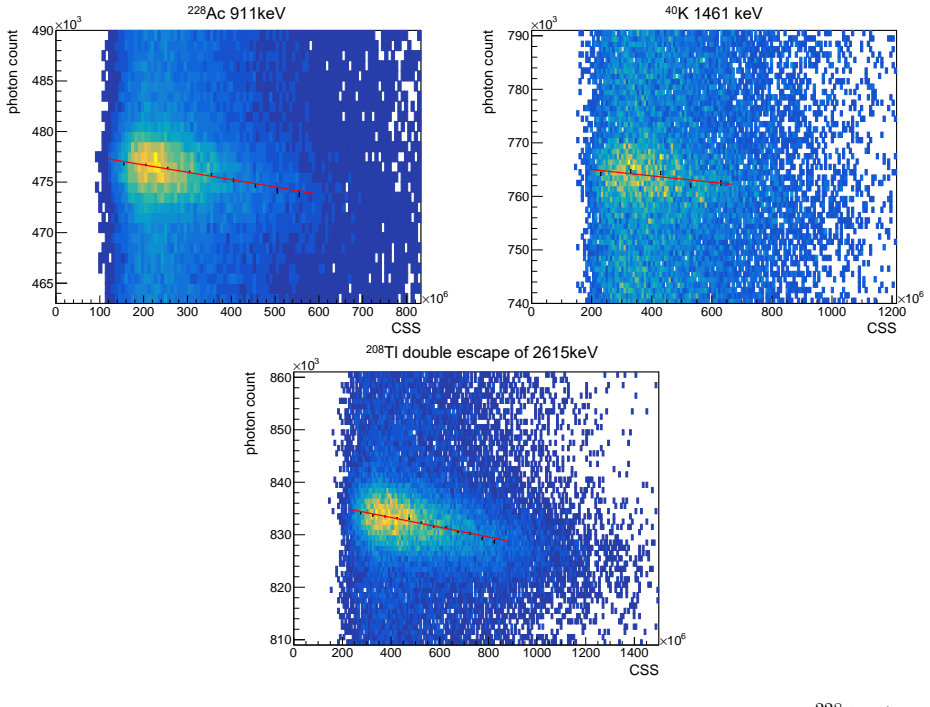 Figure 20