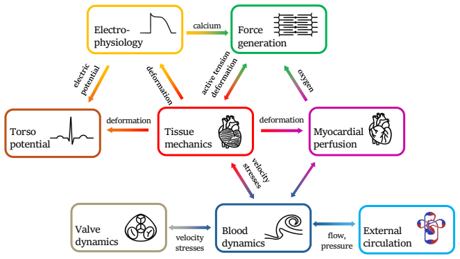 Figure 43