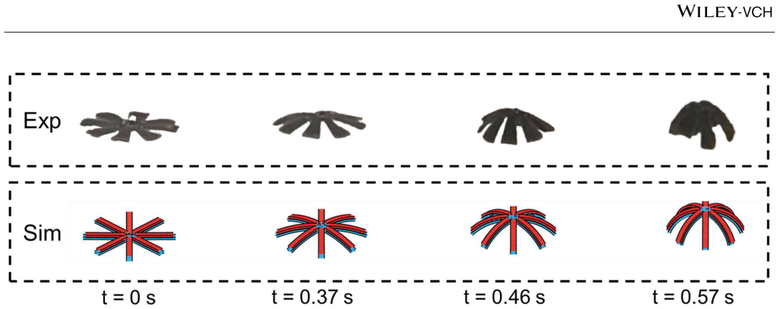 Figure 9