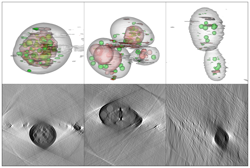 Figure 6