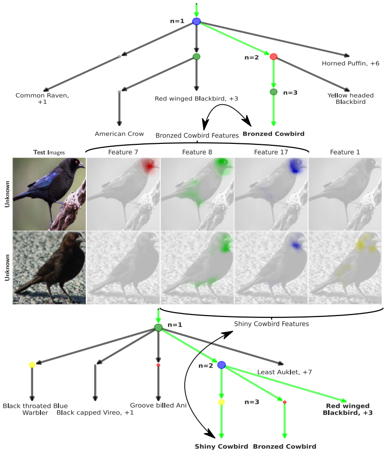 Figure 21