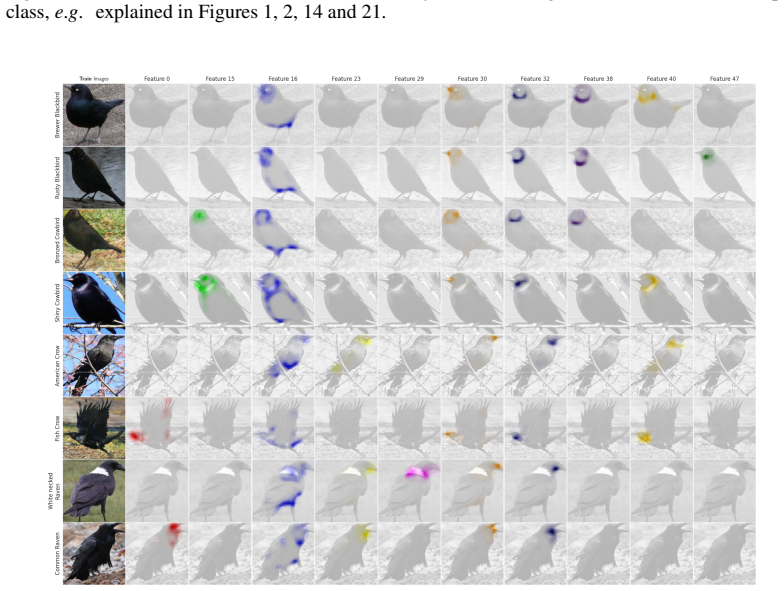 Figure 32