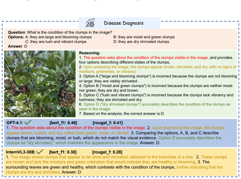 Figure 20