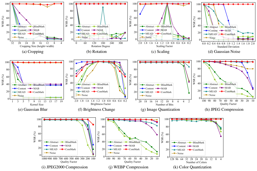 Figure 20