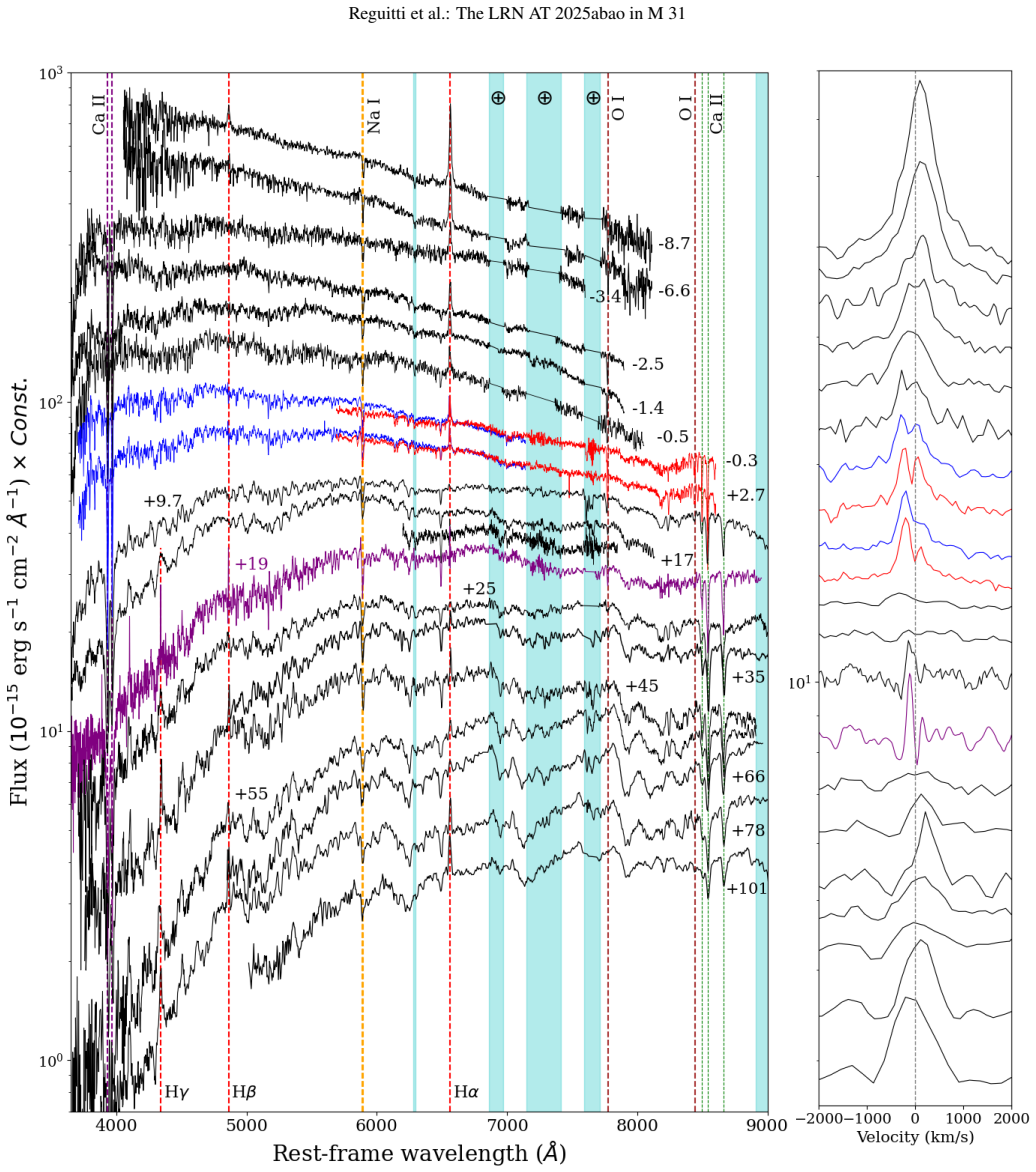 Figure 11