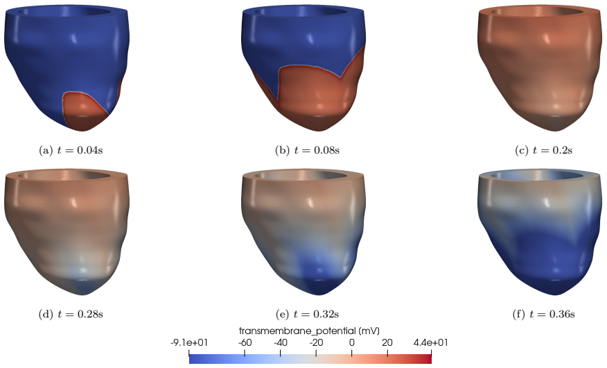 Figure 7