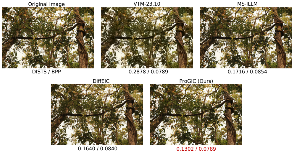 Figure 20