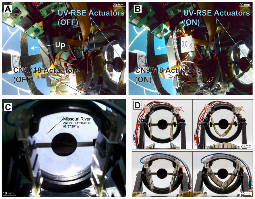 Figure 4