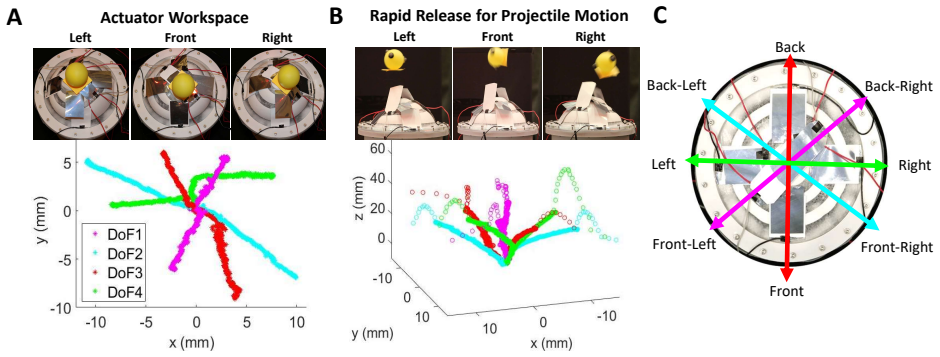Figure 2.5