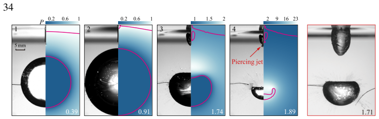 Figure 19