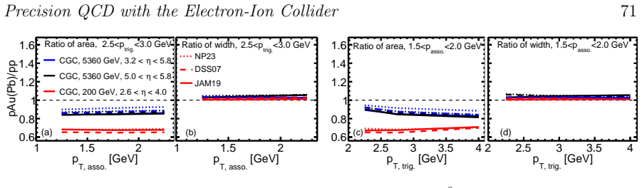 Figure 20