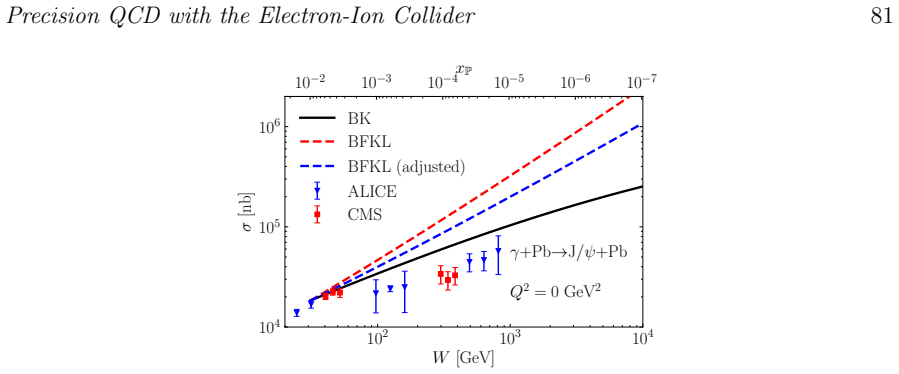 Figure 24