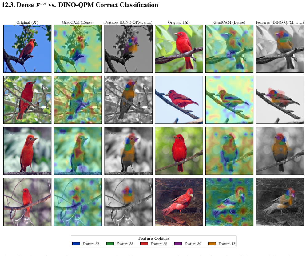 Figure 20