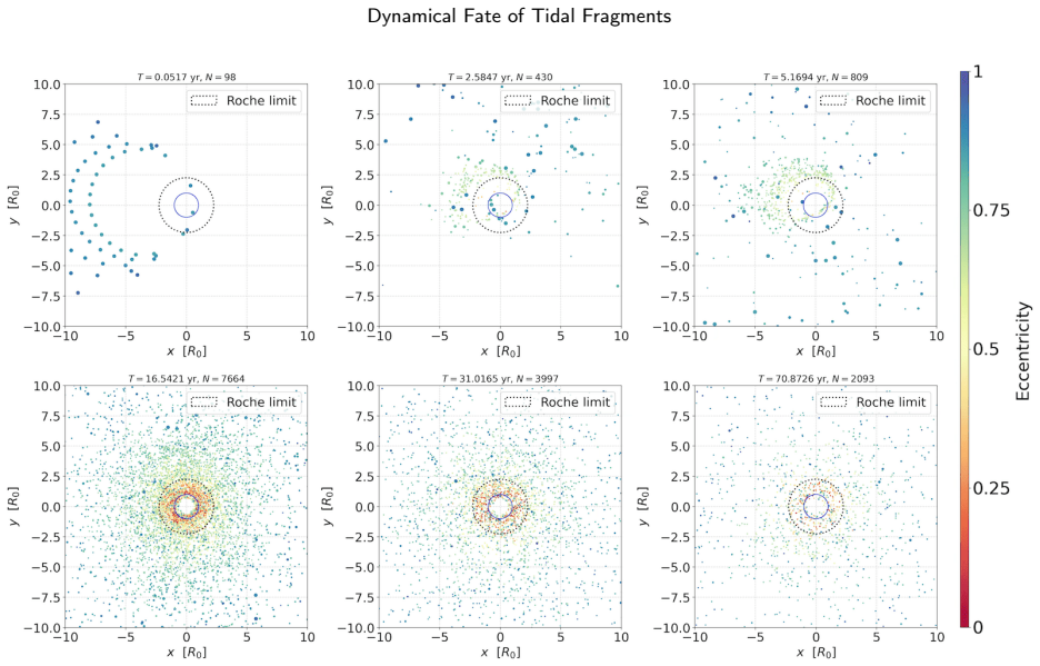 Figure 24