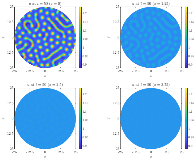 Figure 8