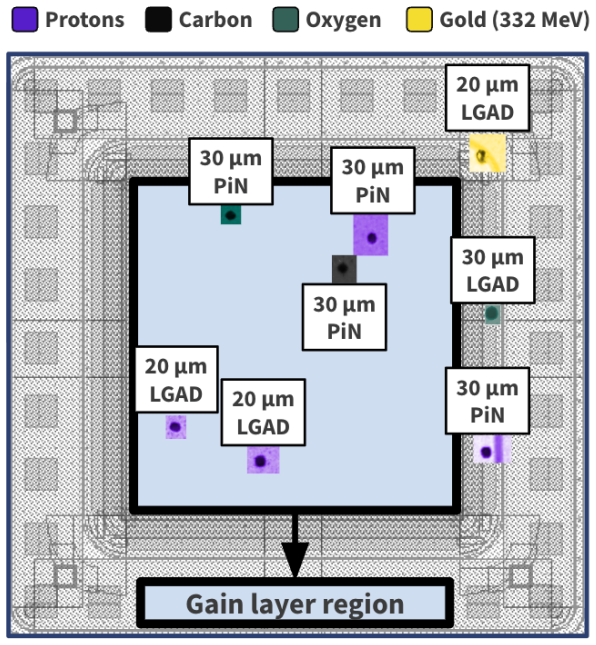 Figure 12