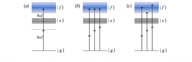 Figure 24