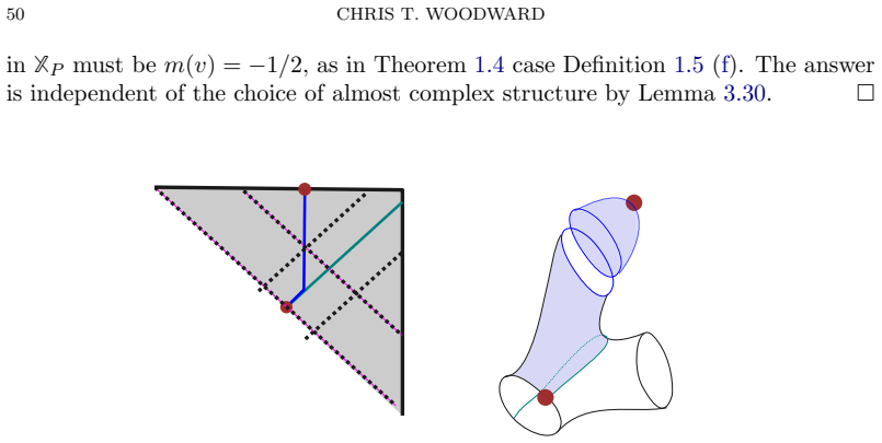 Figure 30