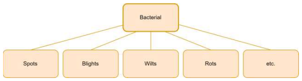 Figure 3.7
