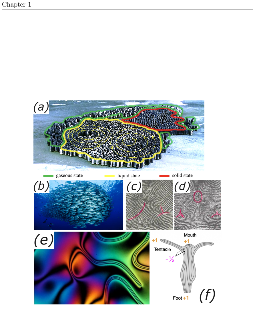 Figure 1.3