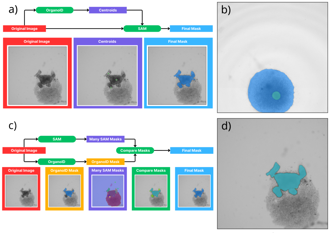 Figure 10