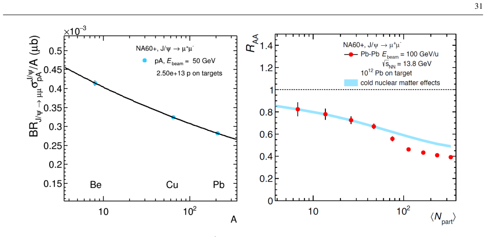 Figure 30