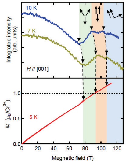 Figure 41