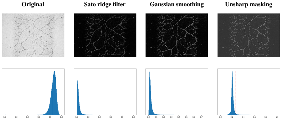 Figure 13