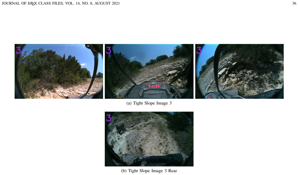 Figure 29