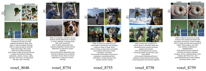Figure 28