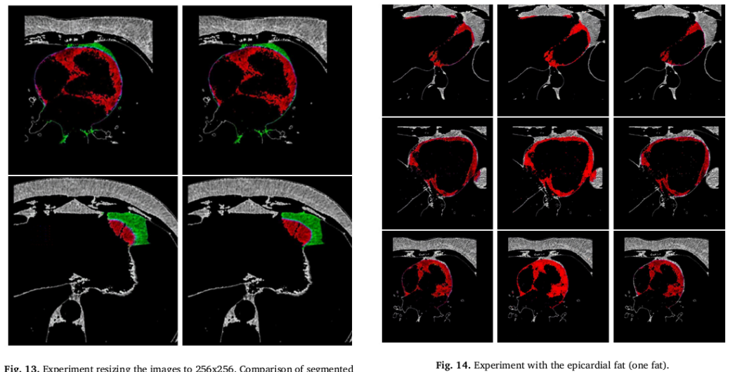 Figure 13