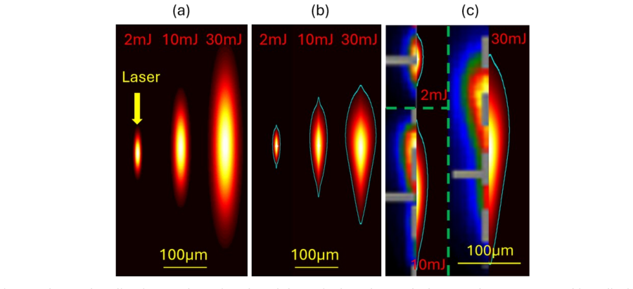 Figure 5