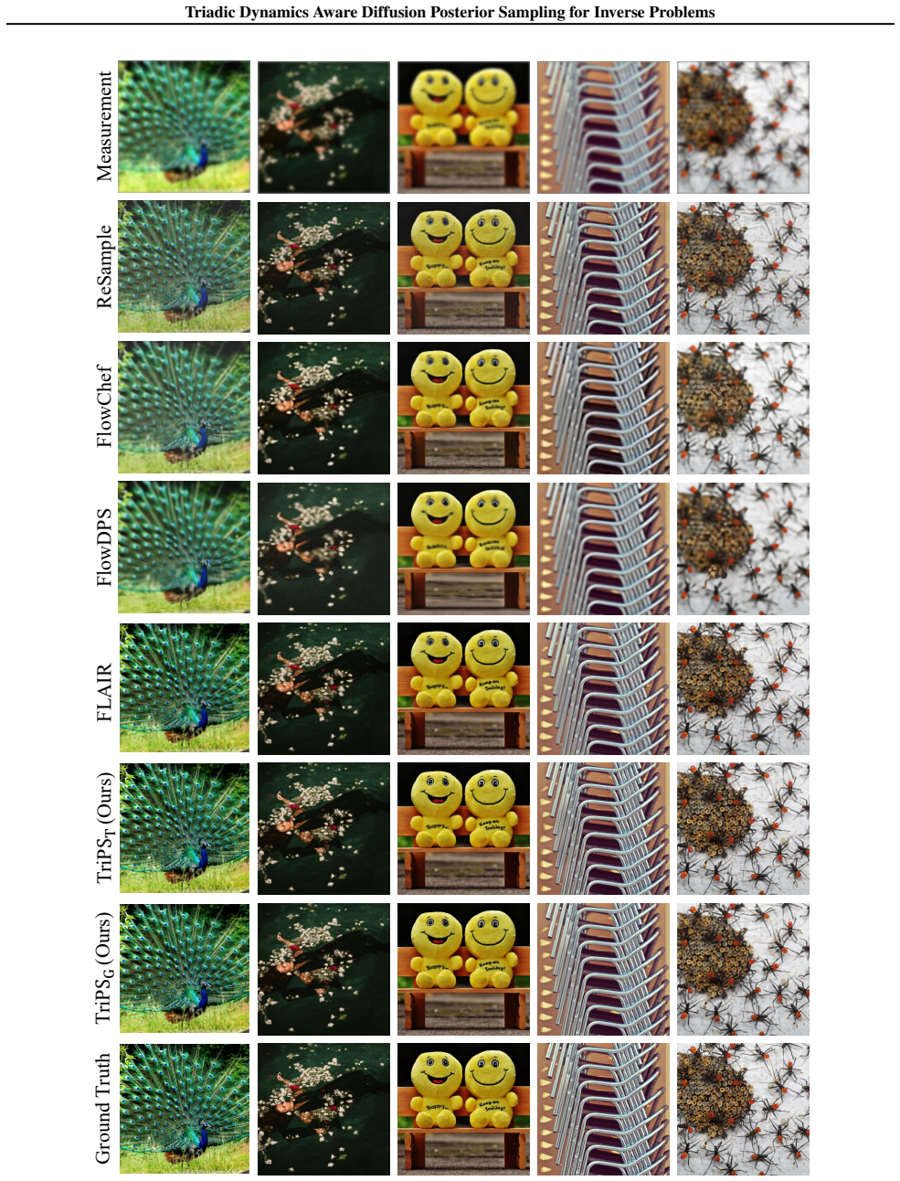 Figure 20