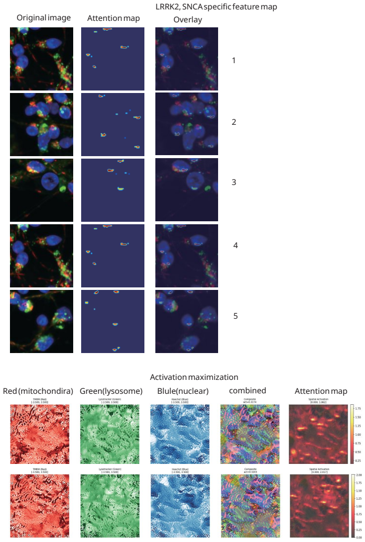 Figure 19